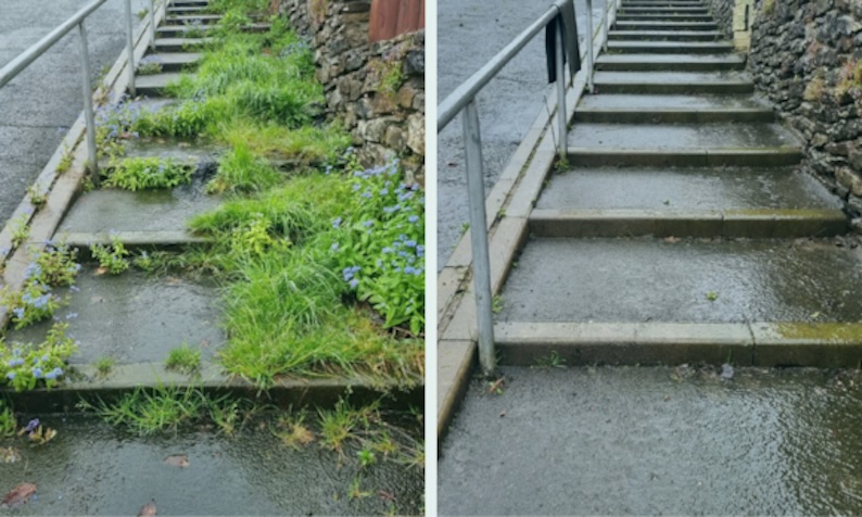 * Cleaner-and-Greener.jpg