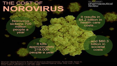 * Cost-of-norovirus.jpg