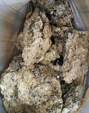 * Fatberg.jpg