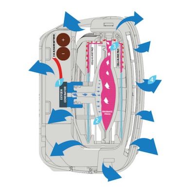 * Initial-Essence-cutaway.jpg