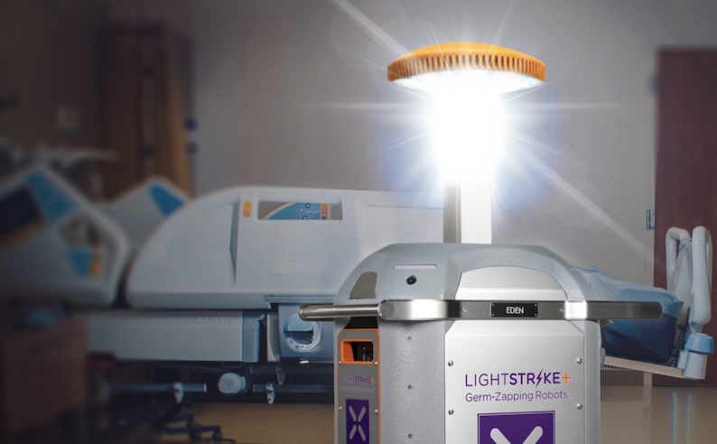 * Nightmare-Bacteria.jpg