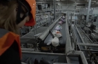 * Nitrous-Oxide-Cartridges-in-Waste.jpg