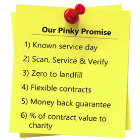 * Pinky-Promise.jpg