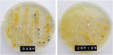 * Viking-desk-bacteria1.jpg