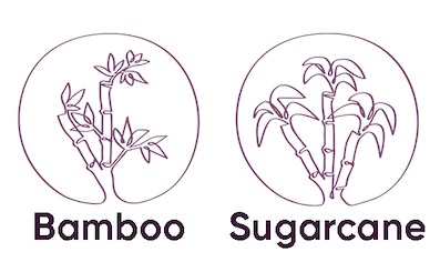 * bamboo-sugarcane.jpg