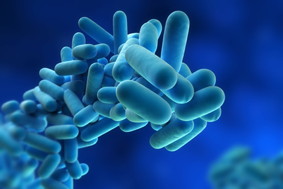 * legionella-bacteria-mid.jpg