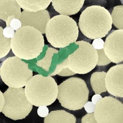 * miniature-robots-microplastics-microbes.jpg